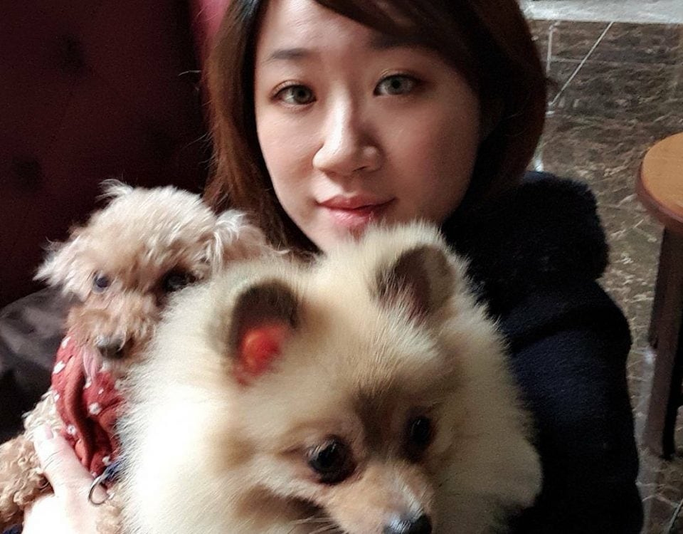 博愛動物醫院口碑