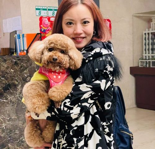 博愛動物醫院口碑