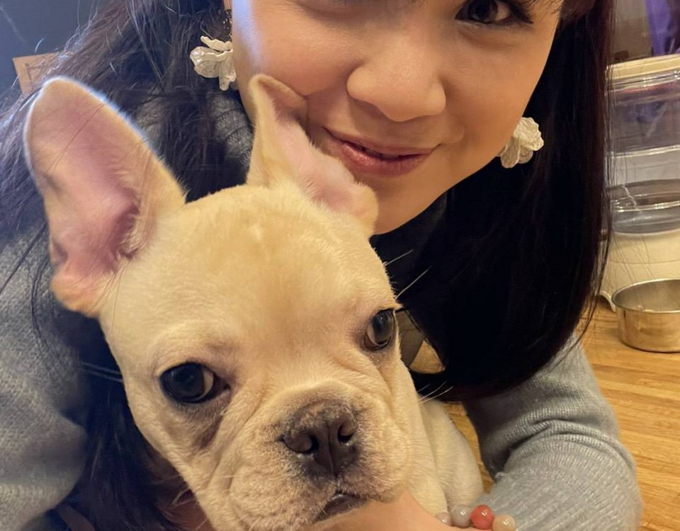 博愛動物醫院口碑