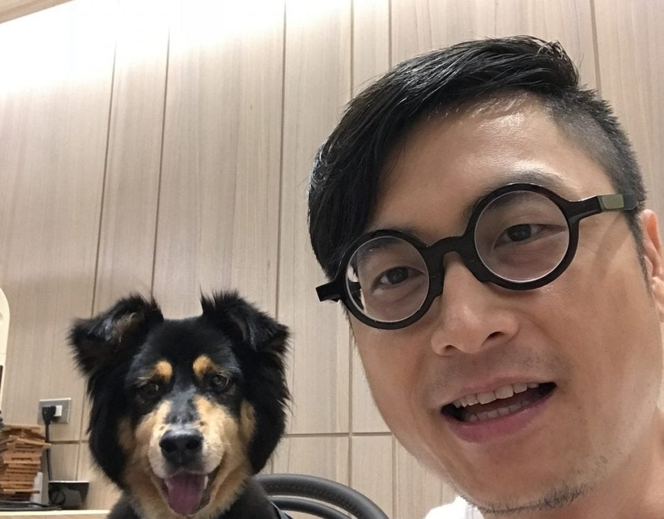 博愛動物醫院口碑