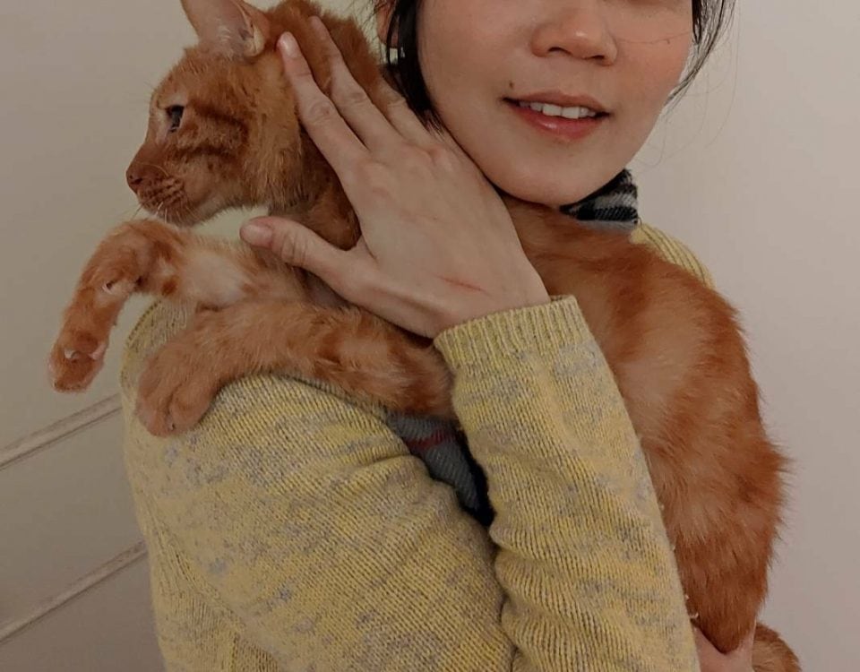博愛動物醫院口碑