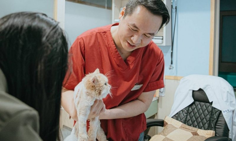 covid19狗貓對人的影響
